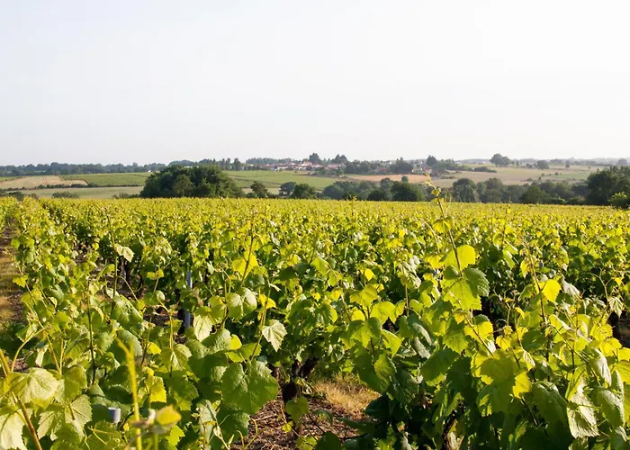 Express Saint-nazaire By Ihg Hotel Saint-Nazaire (Loire-Atlantique)